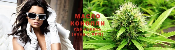 индика Няндома