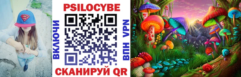 Псилоцибиновые грибы Psilocybine cubensis  Ялта 